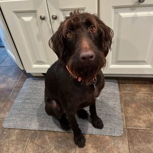 Meet your Posher, Michele